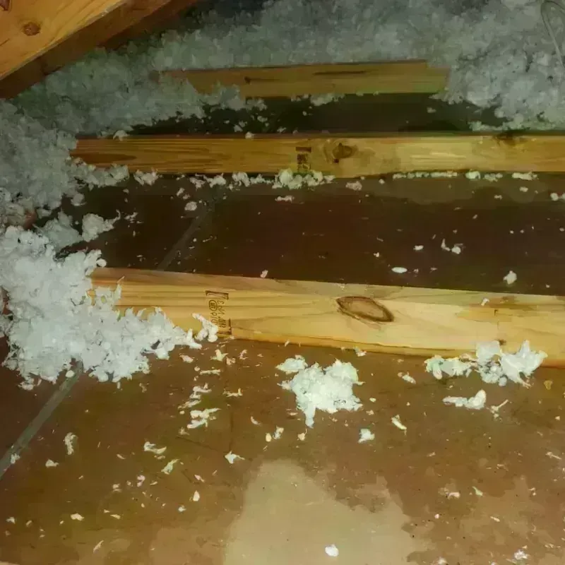 Attic Water Damage in Moose Wilson Road, WY