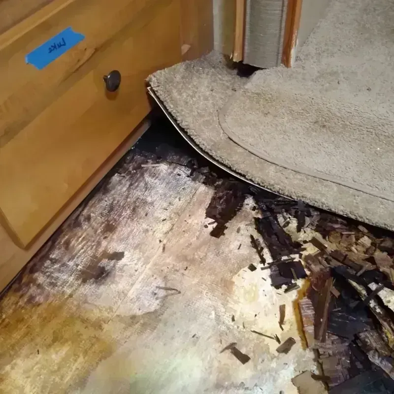 Wood Floor Water Damage in Moose Wilson Road, WY